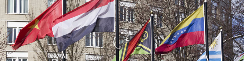 International Arbitration Case Studies